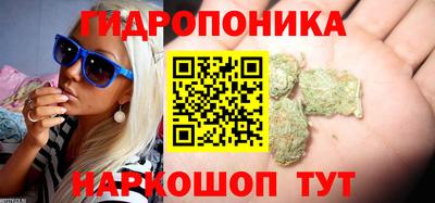 эйфоретик Обь