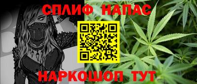 mdpv Обнинск