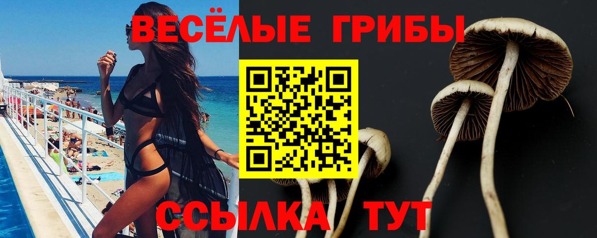 Галлюциногенные грибы MAGIC MUSHROOMS Рубцовск
